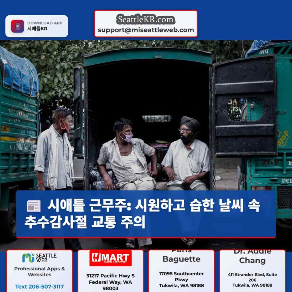 시애틀 근무주: 시원하고 습한 날씨 속 추수감사절 교통 주의
