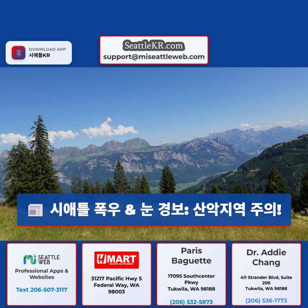 시애틀 폭우 & 눈 경보: 산악지역 주의!