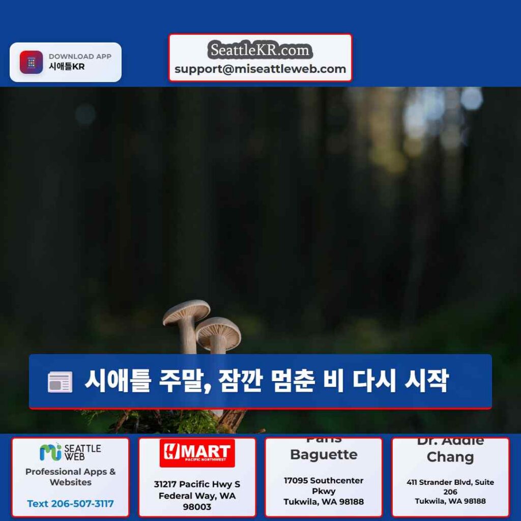 시애틀 주말, 잠깐 멈춘 비 다시 시작