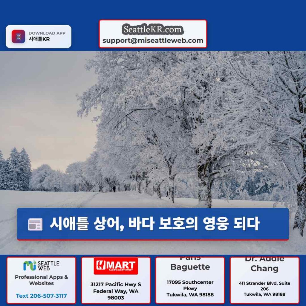 시애틀 상어, 바다 보호의 영웅 되다