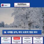 시애틀 상어 바다 보호의 영웅 되다