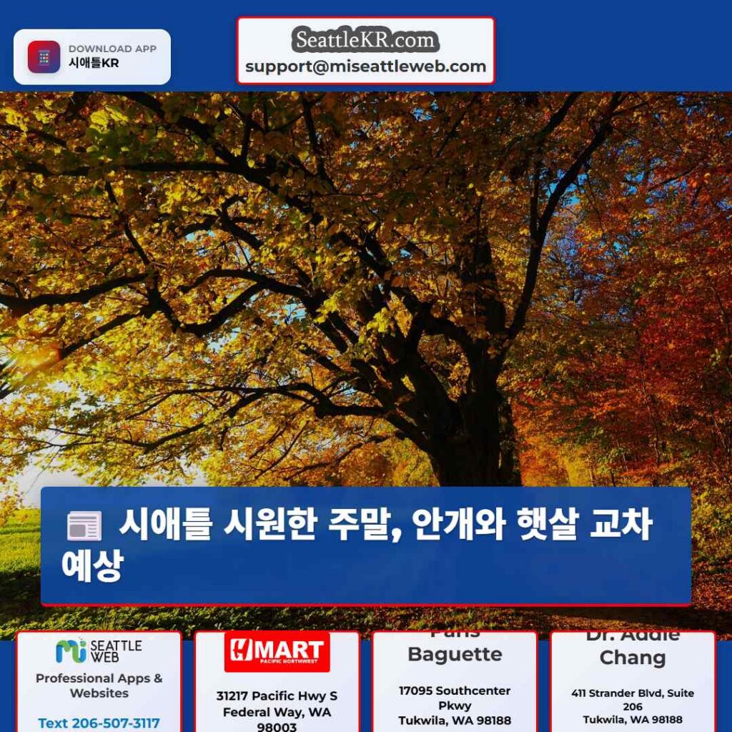 시애틀 시원한 주말, 안개와 햇살 교차 예상