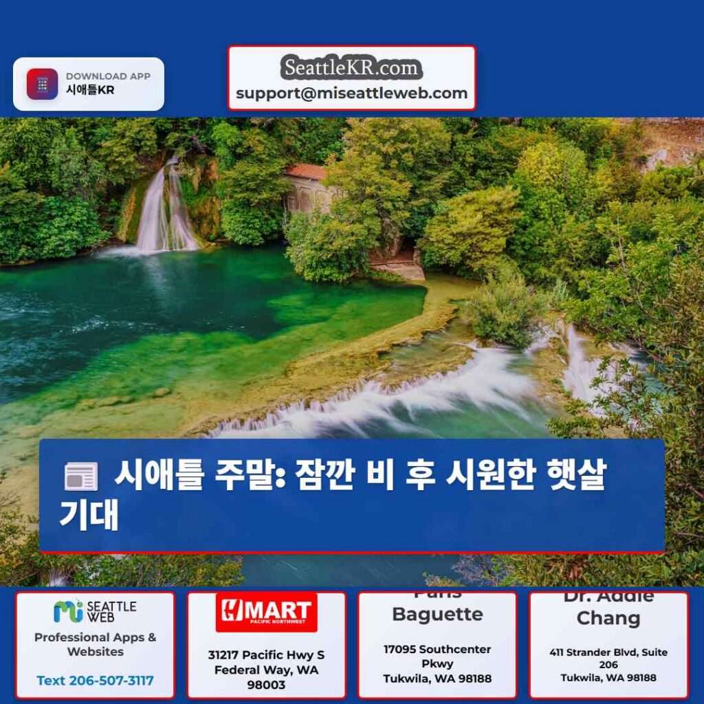 시애틀 주말: 잠깐 비 후 시원한 햇살 기대