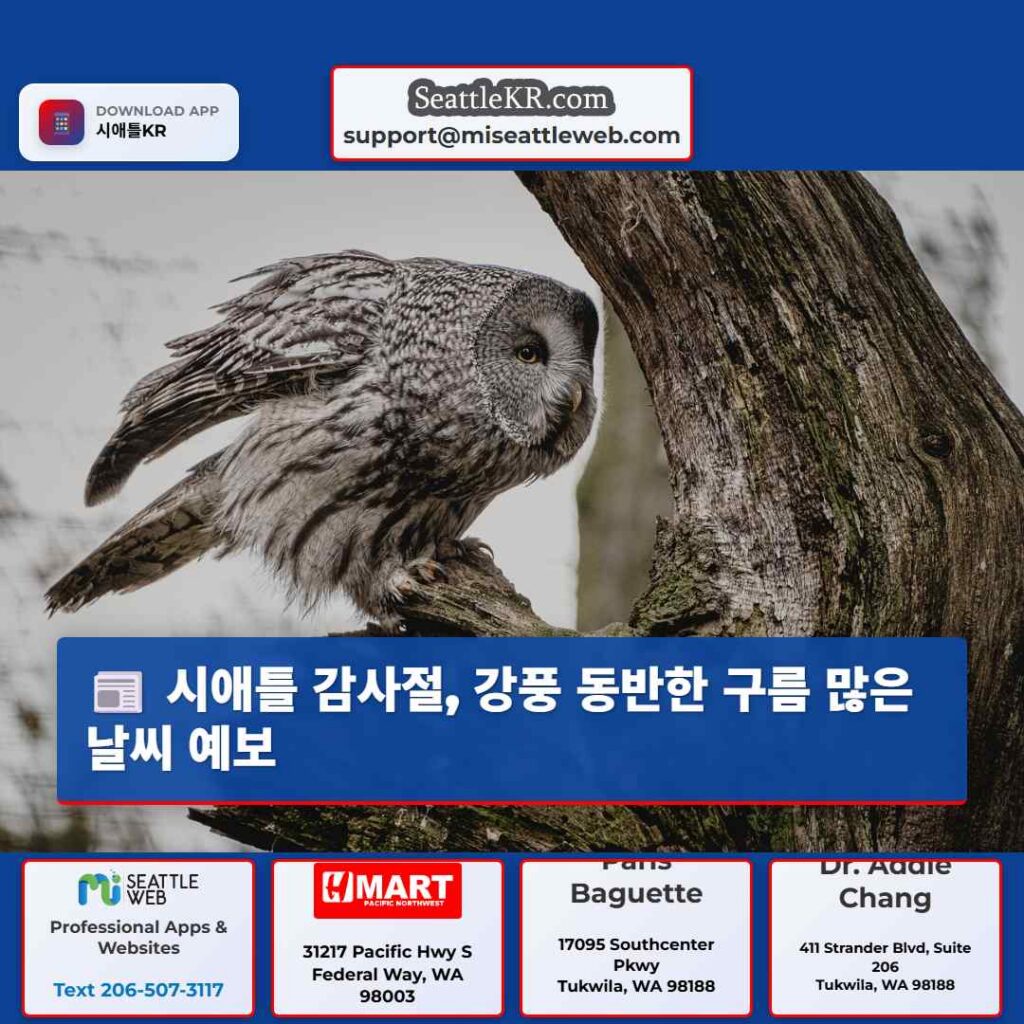 시애틀 감사절, 강풍 동반한 구름 많은 날씨 예보