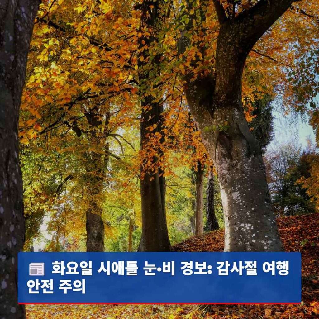 화요일 시애틀 눈·비 경보: 감사절 여행 안전 주의