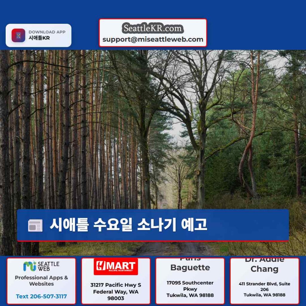 시애틀 수요일 소나기 예고