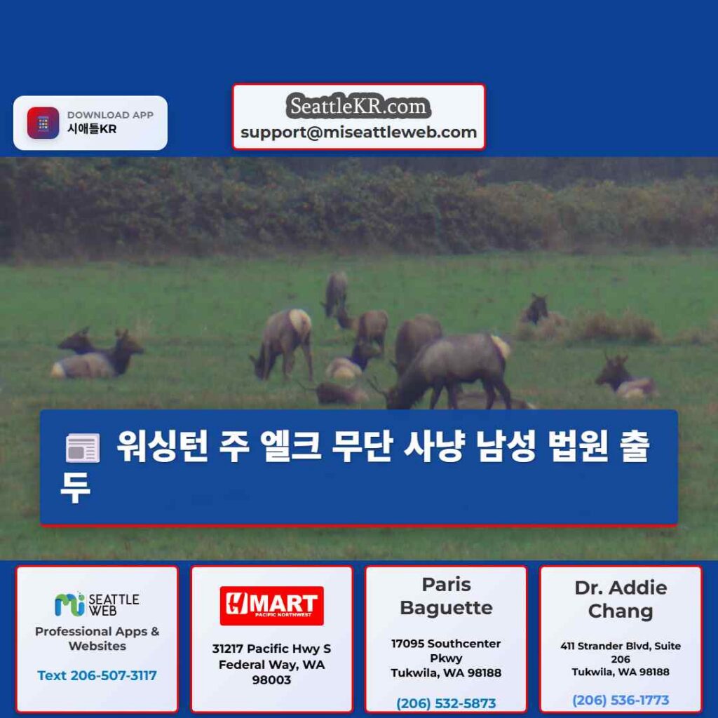 워싱턴 주 엘크 무단 사냥 남성 법원 출두