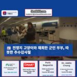 전쟁지에서 구출된 고양이와 재회한 시애틀 퇴역 군인 부부 따뜻한 추수감사절 맞이