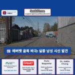 에버렛 시내 골목에서 시신 발견 실종된 71세 남성으로 확인됨