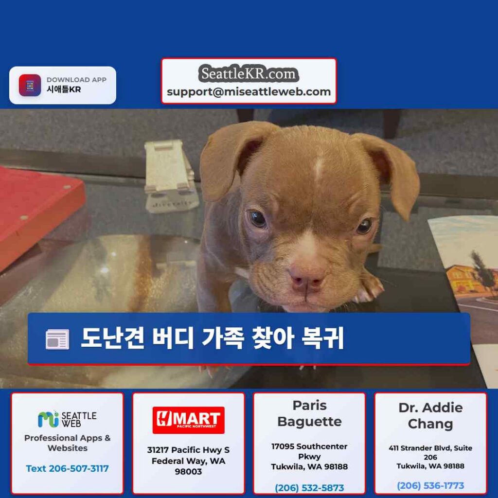 도난견 버디 가족 찾아 복귀