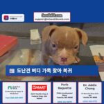 도난견 버디 가족 찾아 복귀