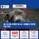 시애틀 감사절 축제 수백 참여자들의 따뜻한 나눔과 반려동물 지원으로 빛나는 공동체 정신