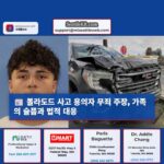 시애틀 볼라도드 사망 사고 19세 용의자 무죄 주장…피해자 가족의 슬픔과 법적 요구