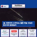 쉭파이어 스카이쇼 쉘튼 하늘 수놓은 윙수이터 불꽃놀이