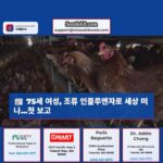 워싱턴 주 여성 조류 인플루엔자 합병증으로 세상을 떠나