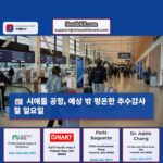 추수감사절 이후 시애틀 공항 예상 밖의 평온한 일요일 보내기