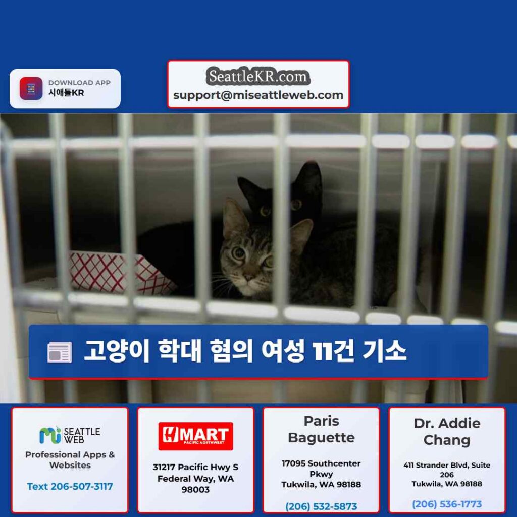 고양이 학대 혐의 여성 11건 기소