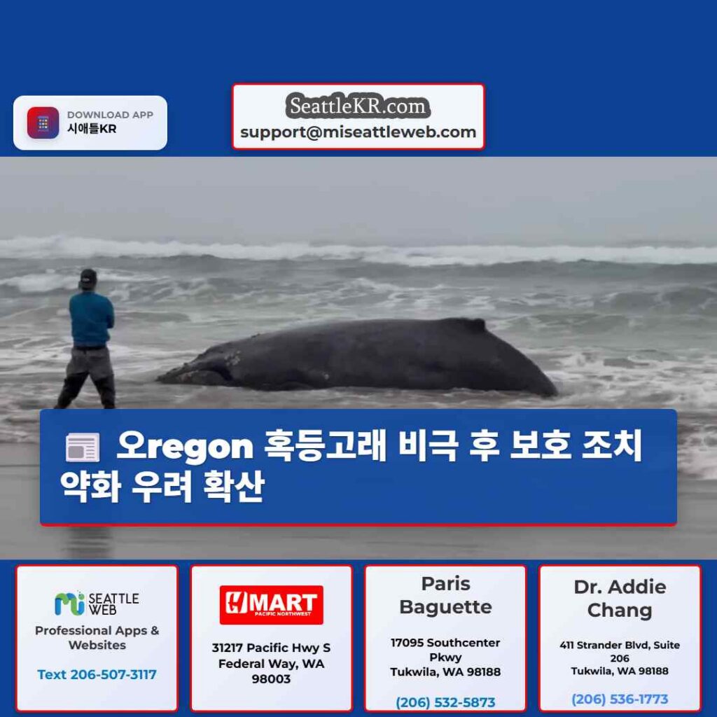 오regon 혹등고래 비극 후 보호 조치 약화 우려 확산