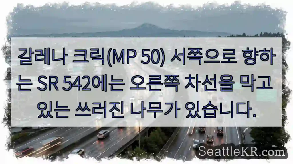 갈레나 크릭(MP 50) 서쪽으로 향하는 SR 542에는 오른쪽 차선을 막고 있는 쓰러진