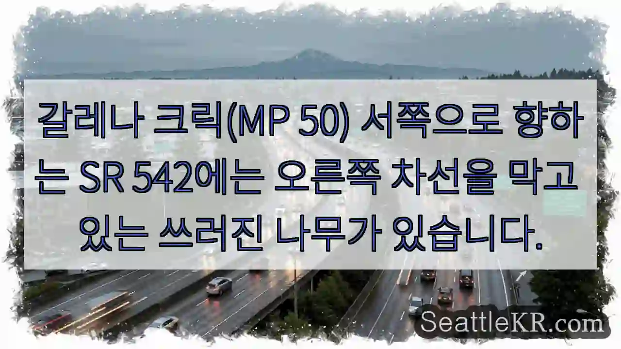 갈레나 크릭(MP 50) 서쪽으로 향하는 SR 542에는 오른쪽 차선을 막고 있는 쓰러진