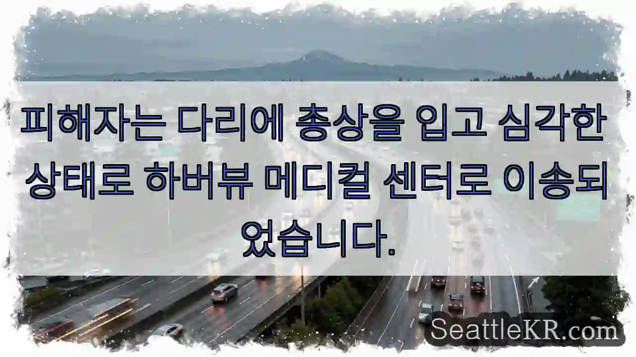 피해자는 다리에 총상을 입고 심각한 상태로 하버뷰 메디컬 센터로 이송되었습니다.