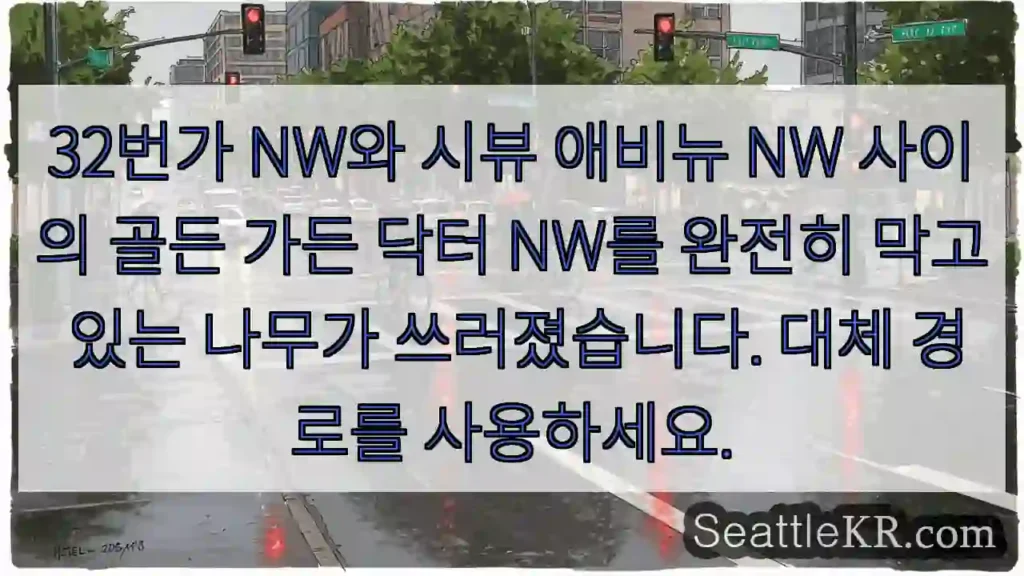 32번가 NW와 시뷰 애비뉴 NW 사이의 골든 가든 닥터 NW를 완전히 막고 있는 나무가