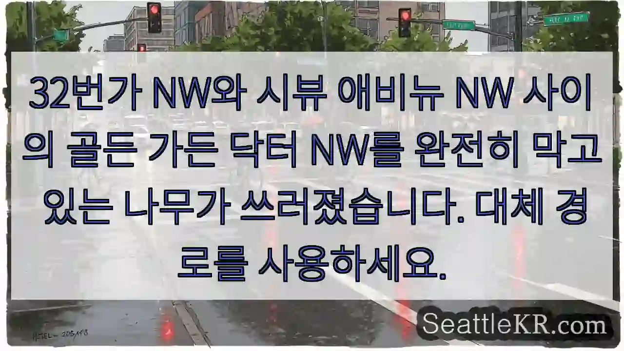 32번가 NW와 시뷰 애비뉴 NW 사이의 골든 가든 닥터 NW를 완전히 막고 있는 나무가