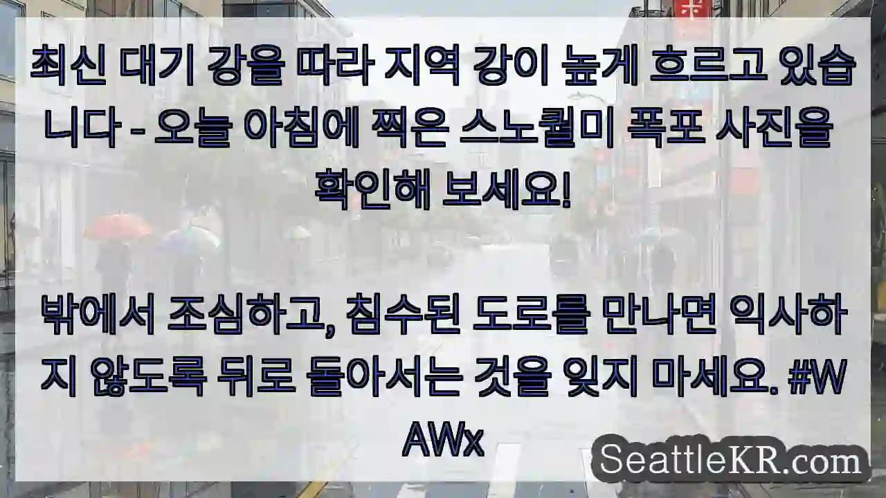 최신 대기 강을 따라 지역 강이 높게 흐르고 있습니다 - 오늘 아침에 찍은 스노퀄미 폭포