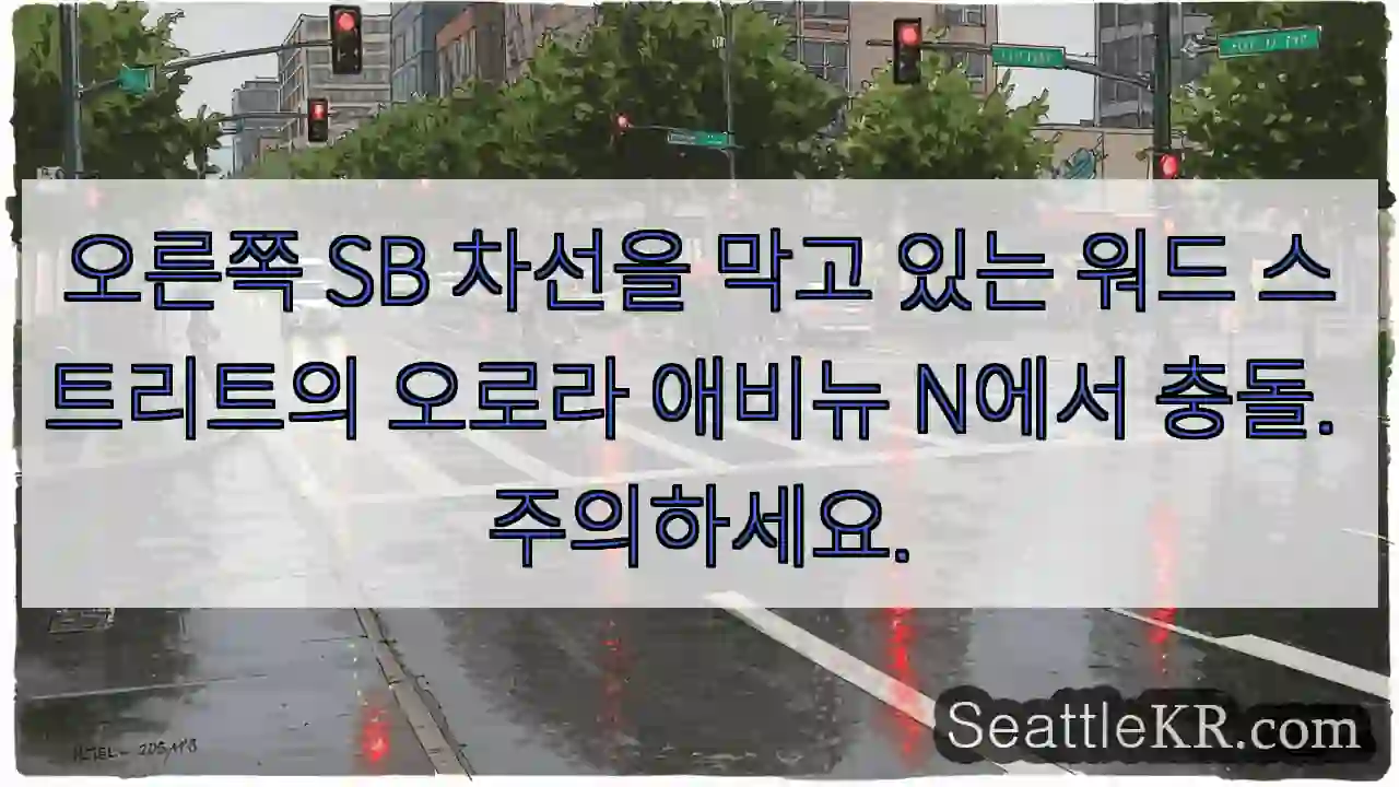 오른쪽 SB 차선을 막고 있는 워드 스트리트의 오로라 애비뉴 N에서 충돌. 주의하세요.