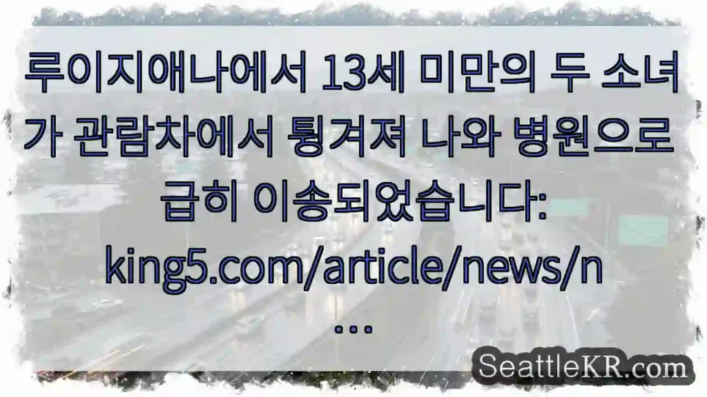 루이지애나에서 13세 미만의 두 소녀가 관람차에서 튕겨져 나와 병원으로 급히