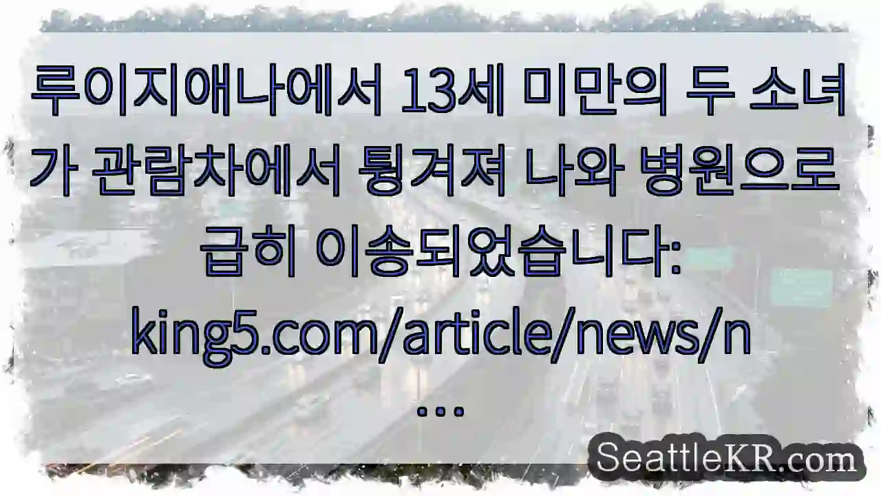 루이지애나에서 13세 미만의 두 소녀가 관람차에서 튕겨져 나와 병원으로 급히