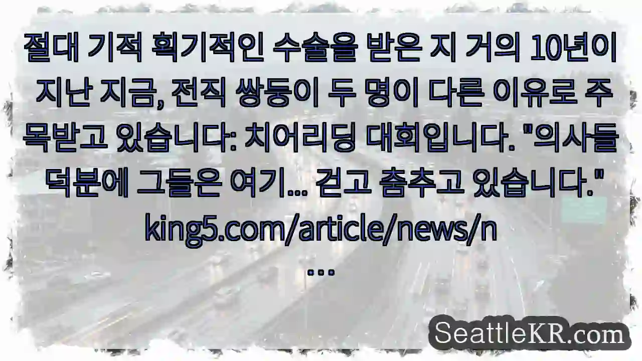 절대 기적 획기적인 수술을 받은 지 거의 10년이 지난 지금, 전직 쌍둥이 두 명이 다른