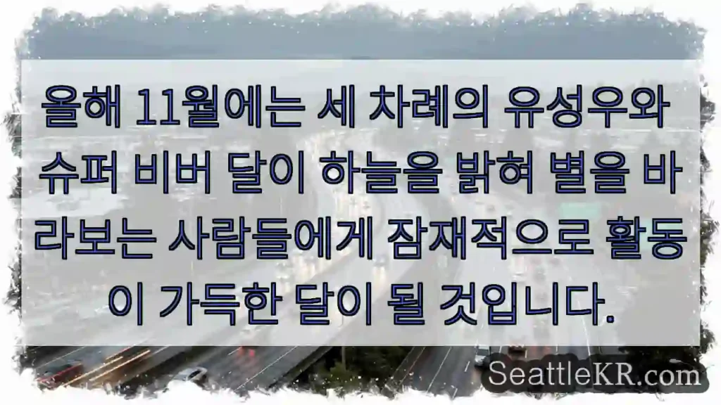 올해 11월에는 세 차례의 유성우와 슈퍼 비버 달이 하늘을 밝혀 별을 바라보는 사람들에게