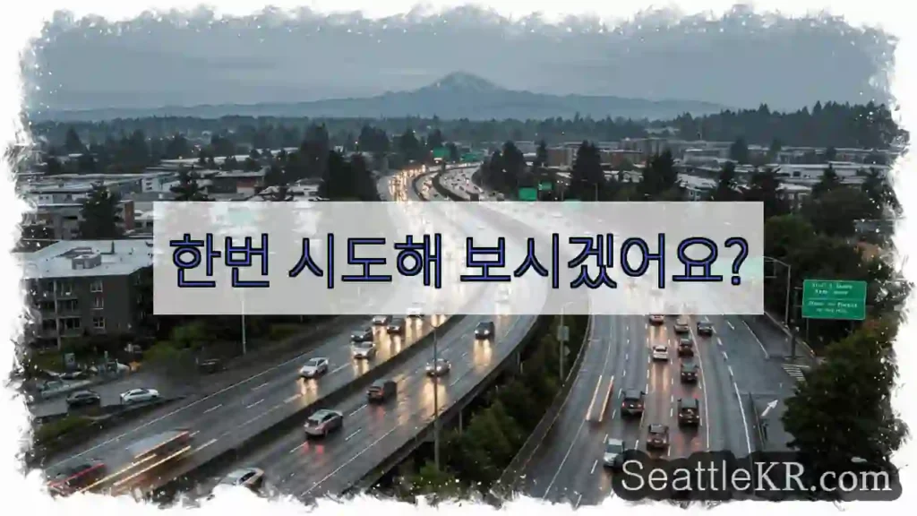 한번 시도해 보시겠어요?