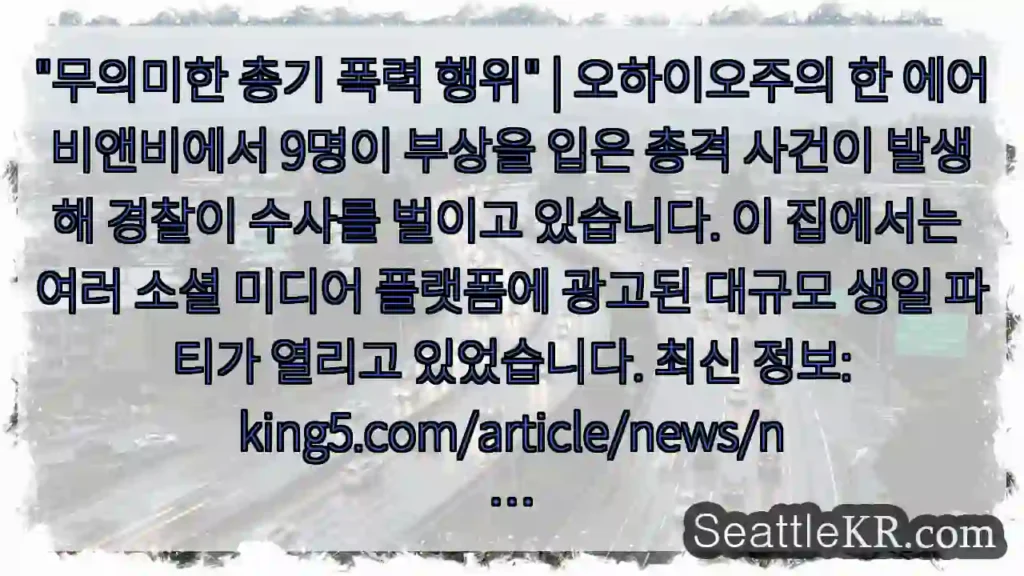 "무의미한 총기 폭력 행위" | 오하이오주의 한 에어비앤비에서 9명이 부상을 입은 총격