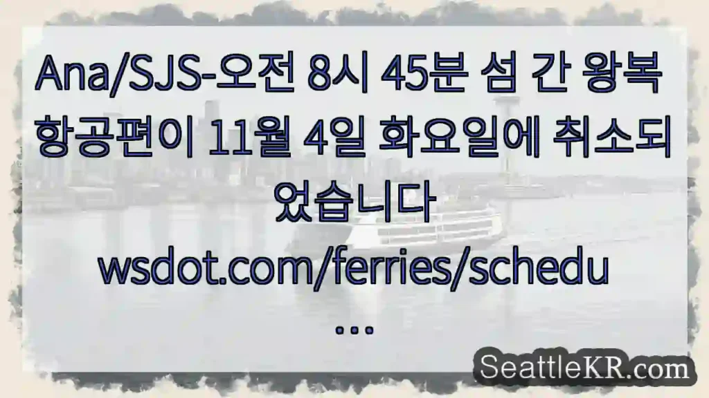 Ana/SJS-오전 8시 45분 섬 간 왕복 항공편이 11월 4일 화요일에