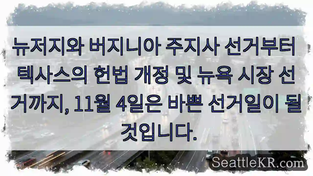 뉴저지와 버지니아 주지사 선거부터 텍사스의 헌법 개정 및 뉴욕 시장 선거까지, 11월