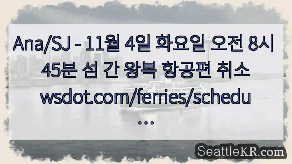 Ana/SJ - 11월 4일 화요일 오전 8시 45분 섬 간 왕복 항공편