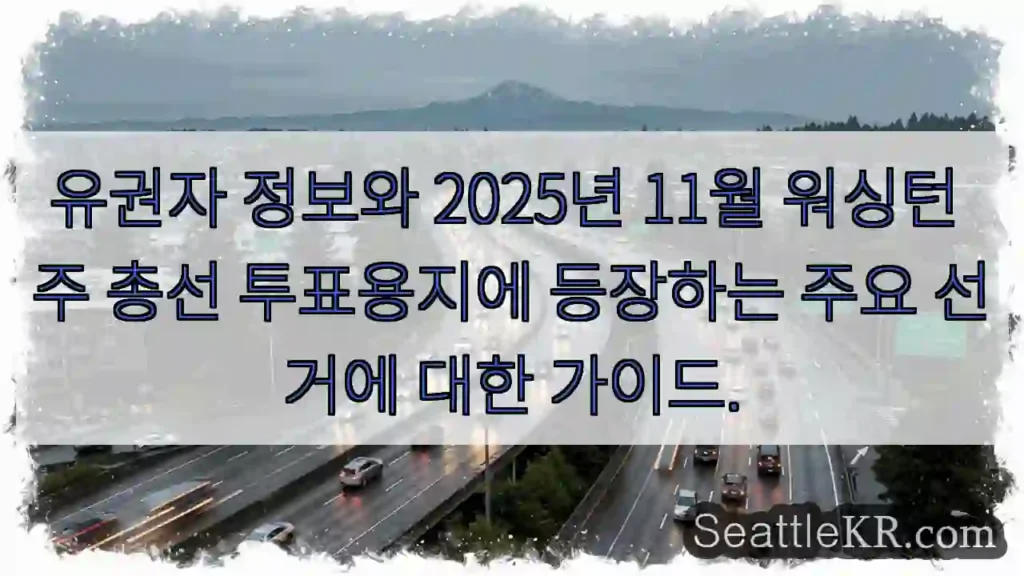 유권자 정보와 2025년 11월 워싱턴 주 총선 투표용지에 등장하는 주요 선거에 대한