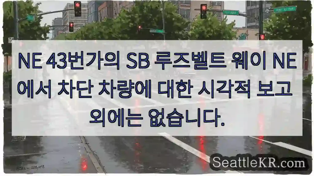 NE 43번가의 SB 루즈벨트 웨이 NE에서 차단 차량에 대한 시각적 보고 외에는