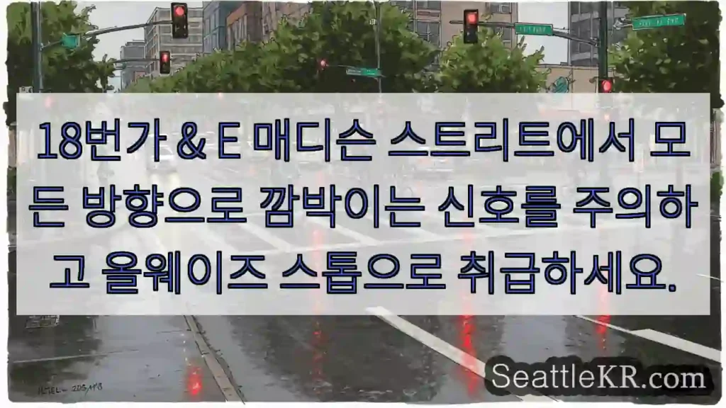 18번가 & E 매디슨 스트리트에서 모든 방향으로 깜박이는 신호를 주의하고 올웨이즈