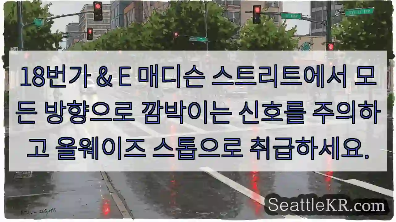 18번가 & E 매디슨 스트리트에서 모든 방향으로 깜박이는 신호를 주의하고 올웨이즈