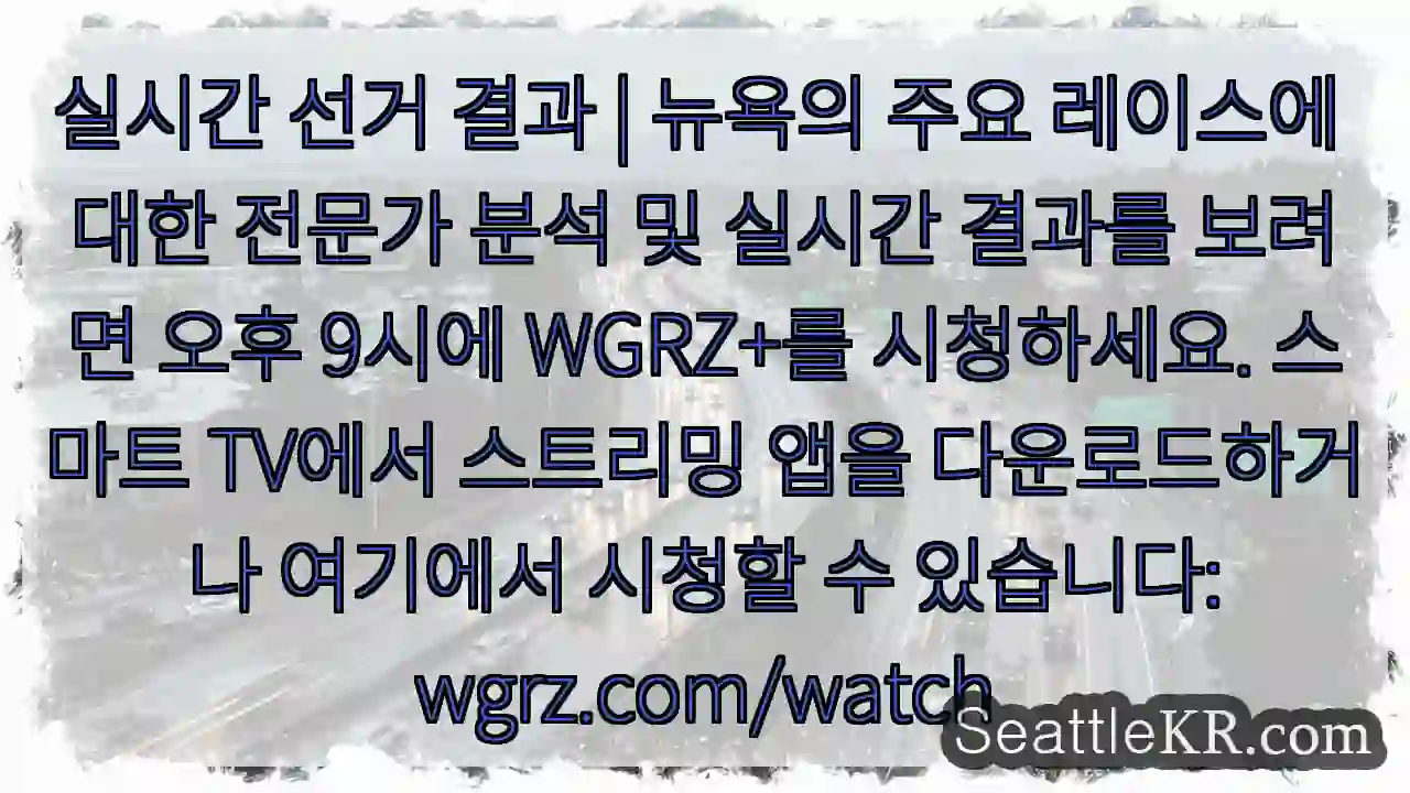 실시간 선거 결과 | 뉴욕의 주요 레이스에 대한 전문가 분석 및 실시간 결과를 보려면