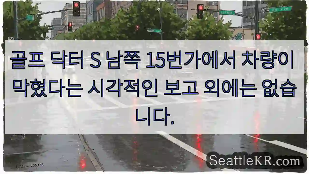 골프 닥터 S 남쪽 15번가에서 차량이 막혔다는 시각적인 보고 외에는 없습니다.