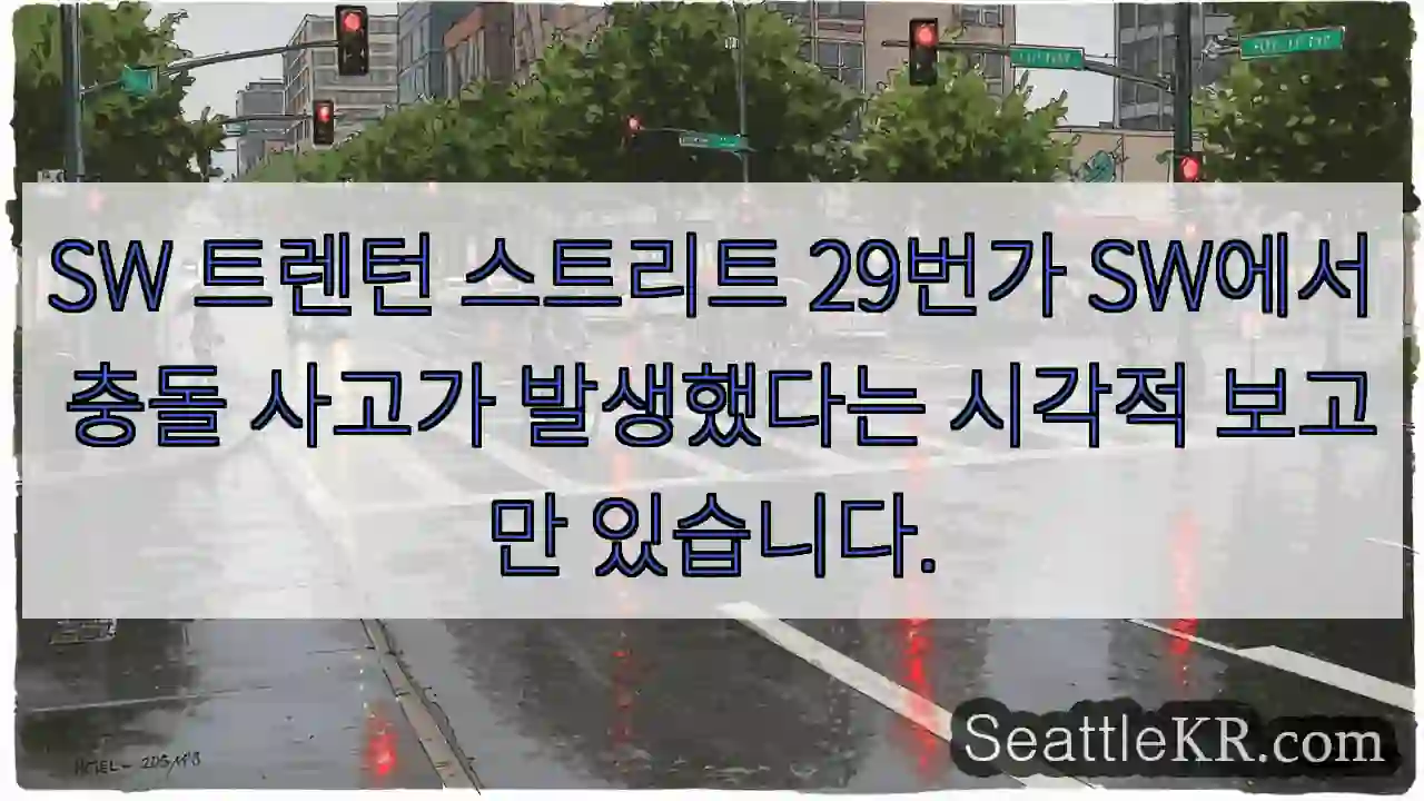 SW 트렌턴 스트리트 29번가 SW에서 충돌 사고가 발생했다는 시각적 보고만 있습니다.