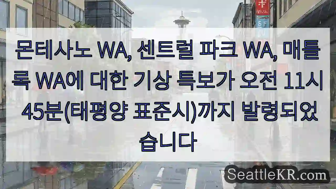 몬테사노 WA, 센트럴 파크 WA, 매틀록 WA에 대한 기상 특보가 오전 11시