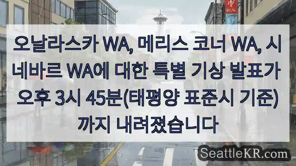 오날라스카 WA, 메리스 코너 WA, 시네바르 WA에 대한 특별 기상 발표가 오후 3시