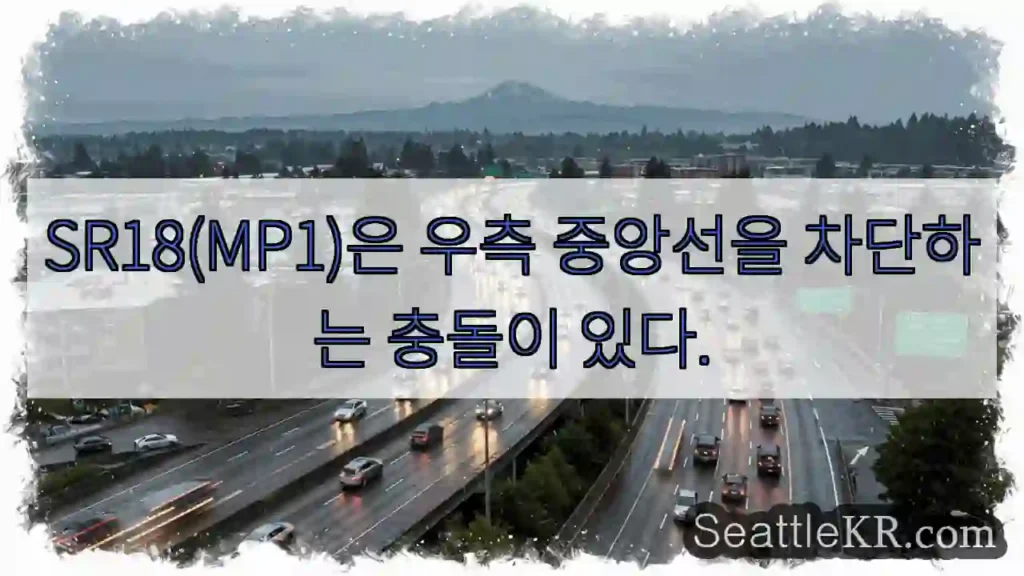 SR18(MP1)은 우측 중앙선을 차단하는 충돌이 있다.
