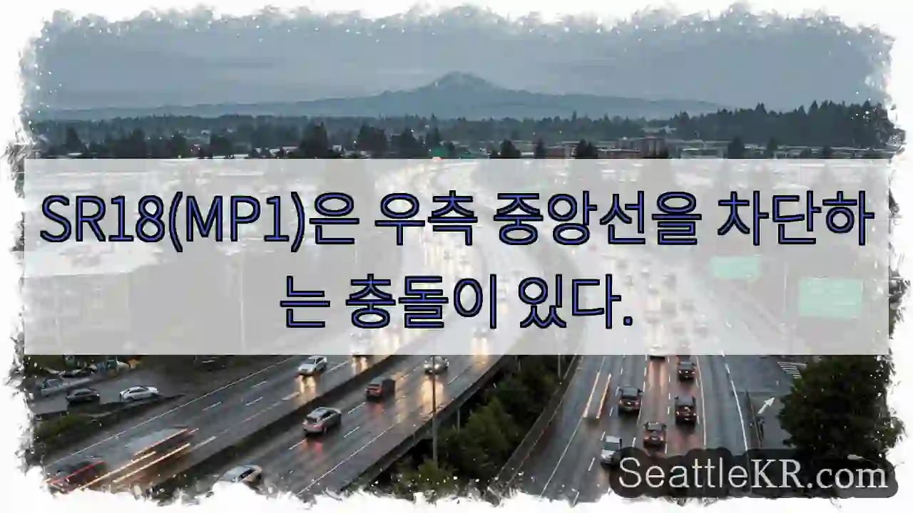 SR18(MP1)은 우측 중앙선을 차단하는 충돌이 있다.