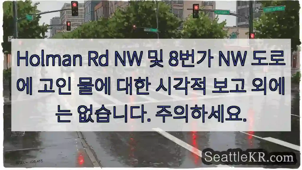 Holman Rd NW 및 8번가 NW 도로에 고인 물에 대한 시각적 보고 외에는